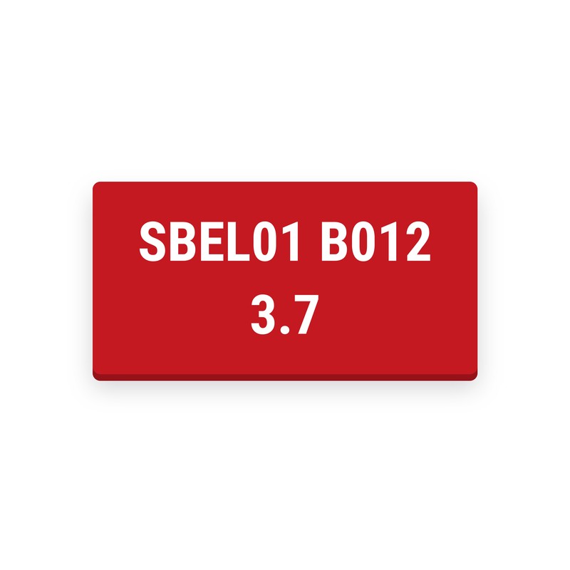 Rechteckiges Schild für die Sicherheitsbeleuchtung, roter Grund mit weißer Gravur, oben SBEL01 B012, darunter 3.7